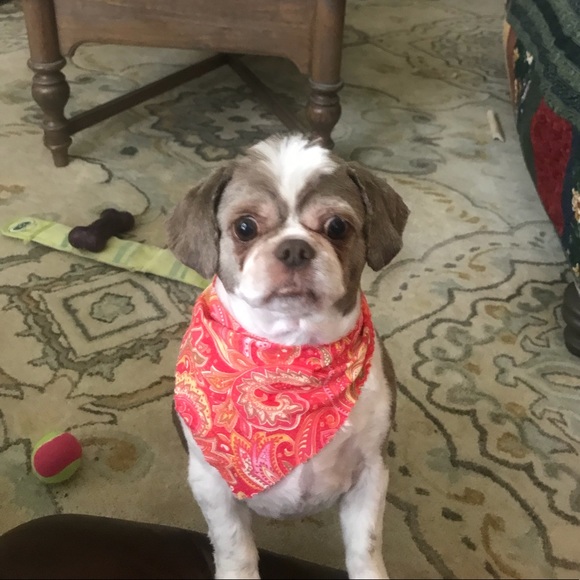 Meet your Posher, Susan - Picture 2 of 2